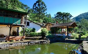 Meson Hotel